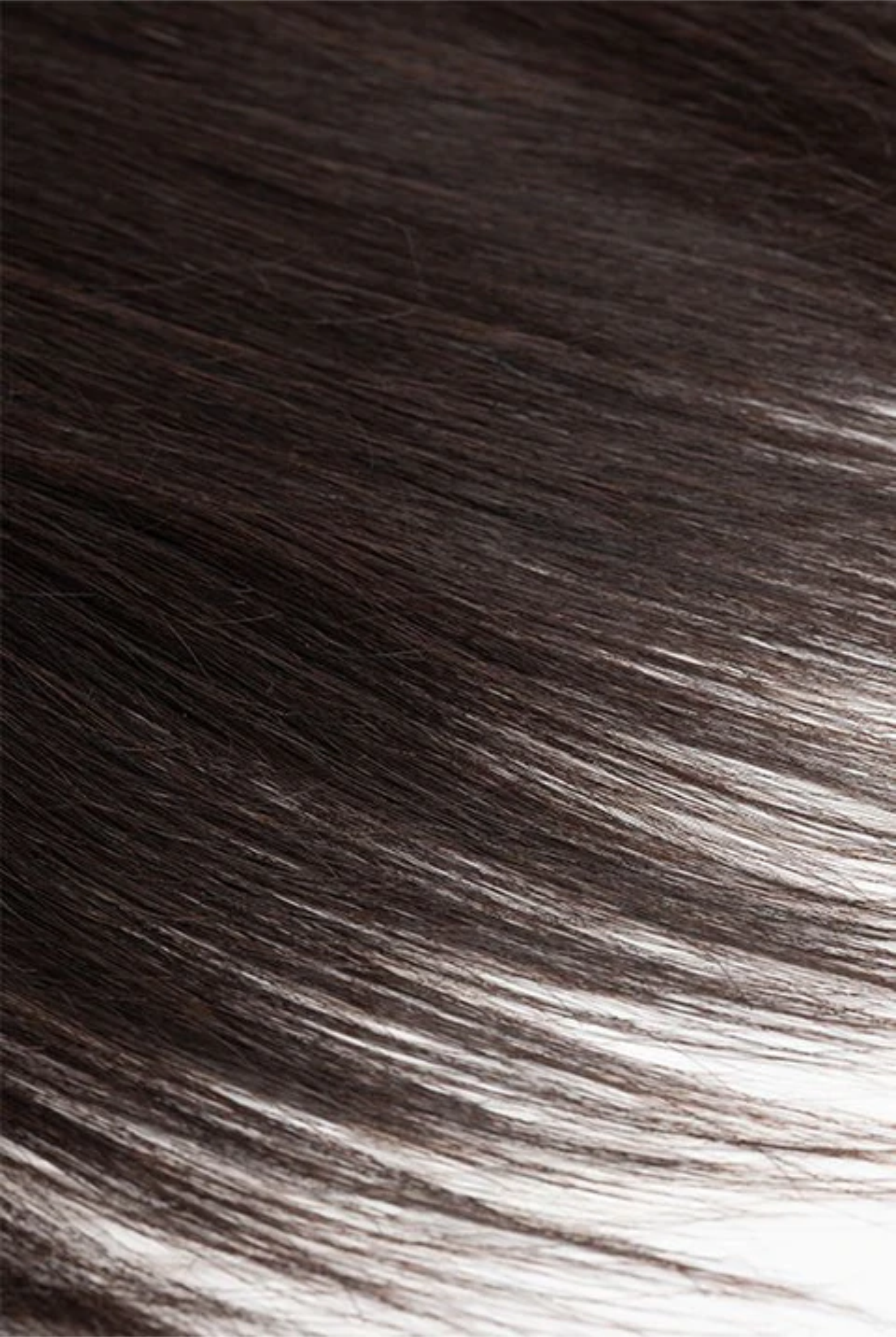 Straight Lace Frontal
